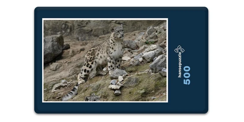 17556 Tierwelt - Schnee-Leopard Puzzle