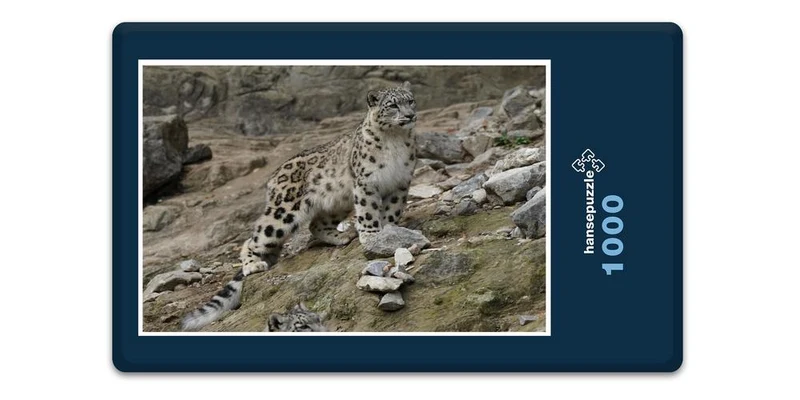 17556 Tierwelt - Schnee-Leopard Puzzle