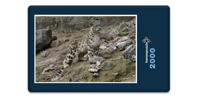 17556 Tierwelt - Schnee-Leopard Puzzle