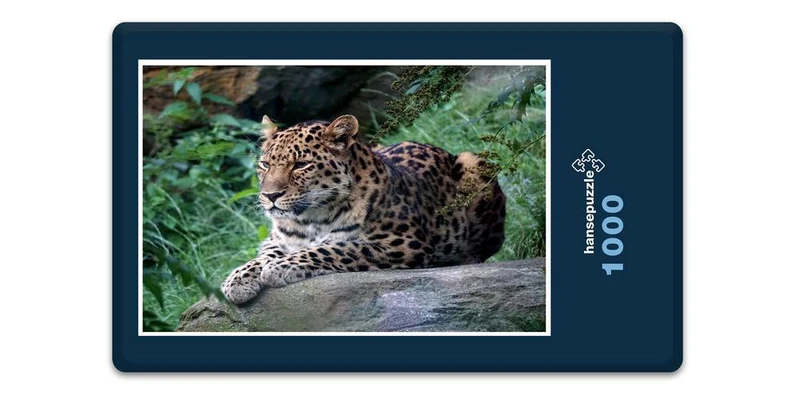17557 Tierwelt - Leopard Puzzle