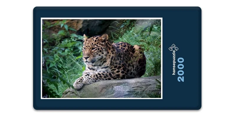 17557 Tierwelt - Leopard Puzzle