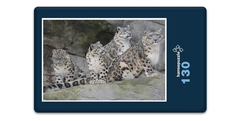 17558 Tierwelt - Leoparden Familie Puzzle