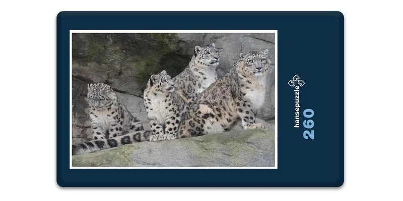 17558 Tierwelt - Leoparden Familie Puzzle