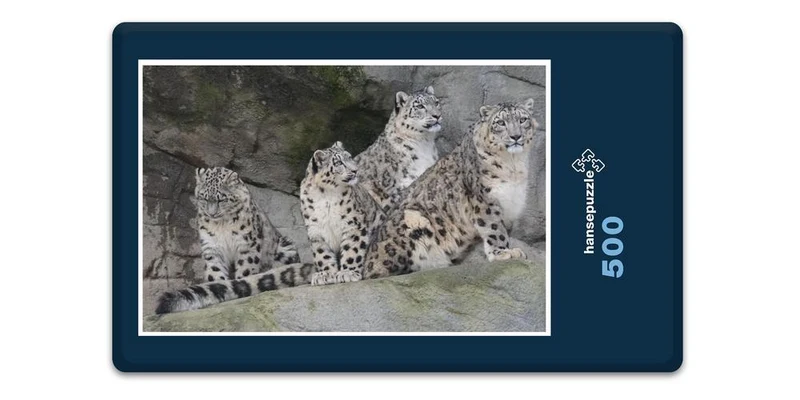 17558 Tierwelt - Leoparden Familie Puzzle