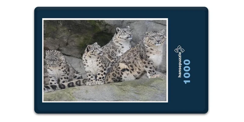 17558 Tierwelt - Leoparden Familie Puzzle