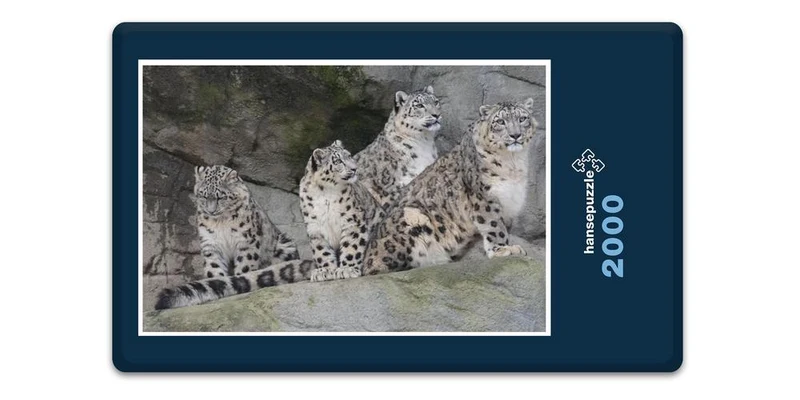 17558 Tierwelt - Leoparden Familie Puzzle