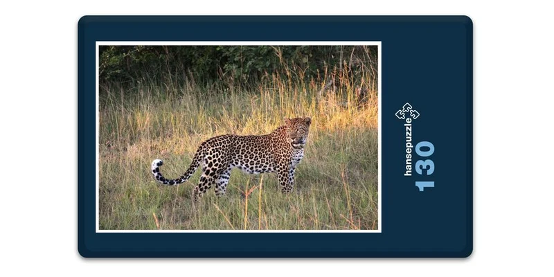 17559 Tierwelt - Auf der Jagd Puzzle