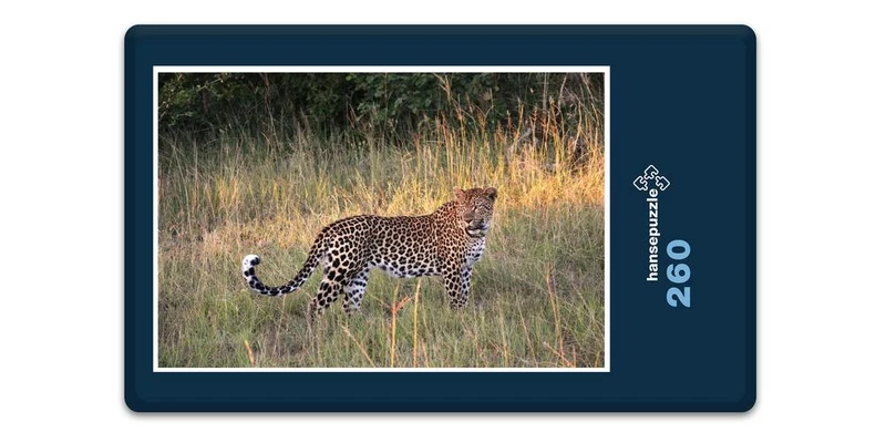 17559 Tierwelt - Auf der Jagd Puzzle