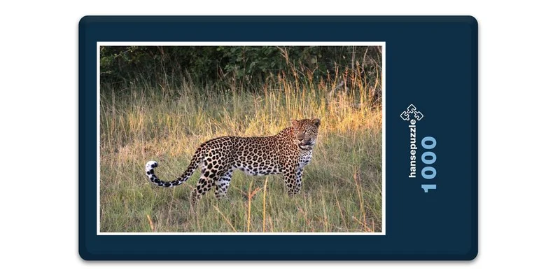 17559 Tierwelt - Auf der Jagd Puzzle