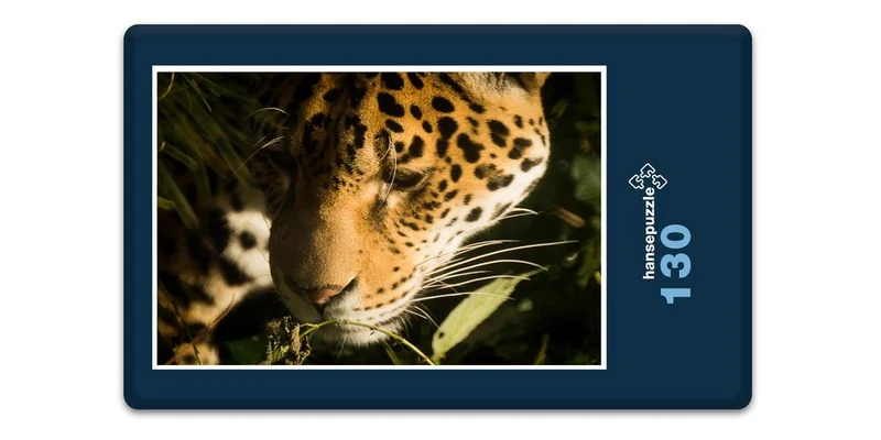 17561 Tierwelt - Wildkatze Puzzle