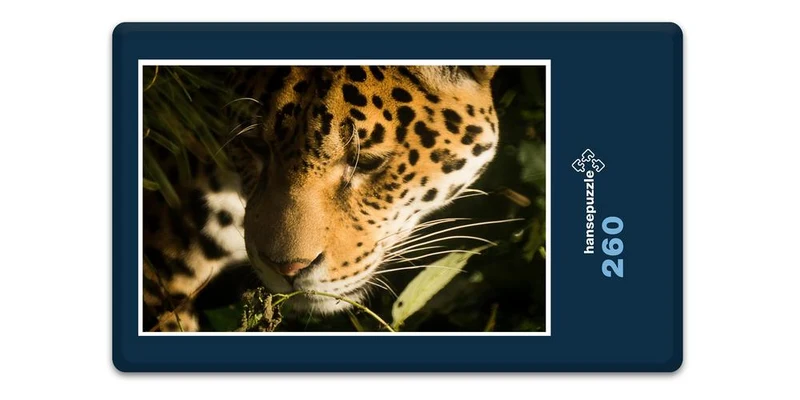 17561 Tierwelt - Wildkatze Puzzle