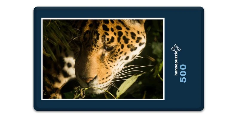 17561 Tierwelt - Wildkatze Puzzle