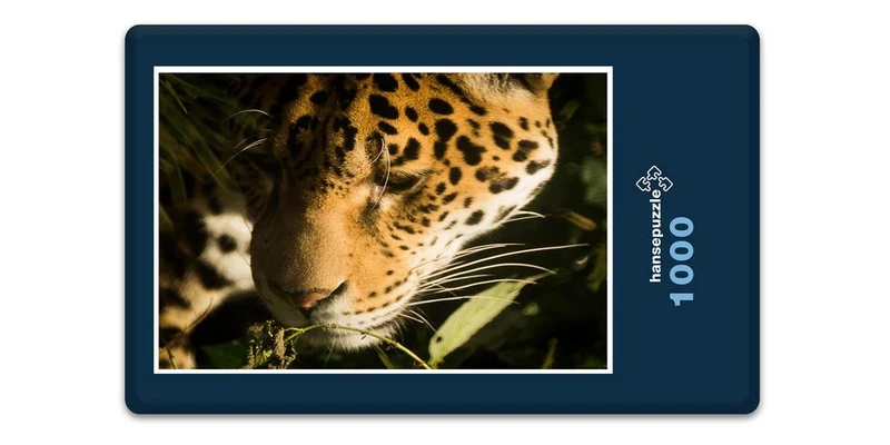 17561 Tierwelt - Wildkatze Puzzle