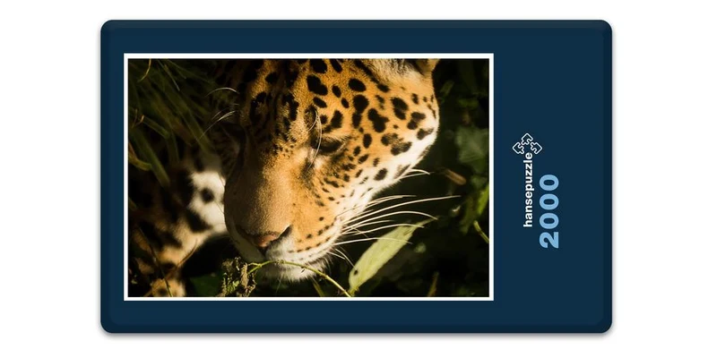 17561 Tierwelt - Wildkatze Puzzle