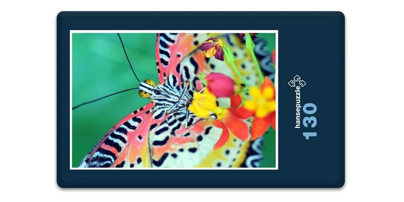 17562 Natur - Schmetterling Puzzle