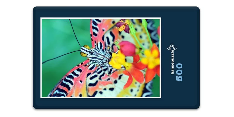 17562 Natur - Schmetterling Puzzle