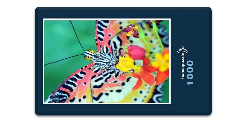 17562 Natur - Schmetterling Puzzle