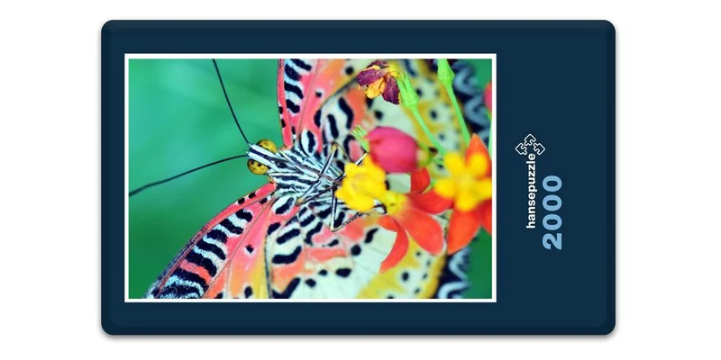 17562 Natur - Schmetterling Puzzle