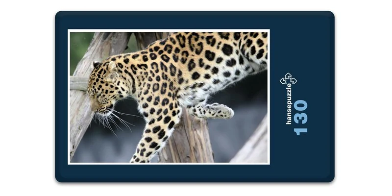 17563 Natur - Flinke Katze Puzzle