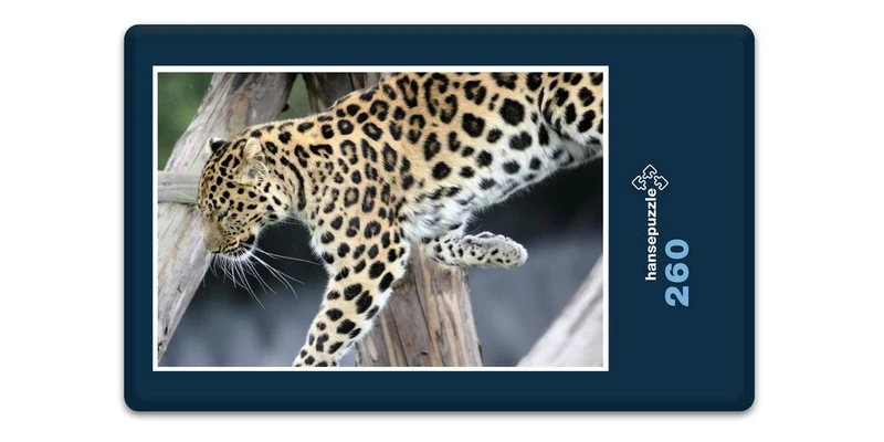 17563 Natur - Flinke Katze Puzzle