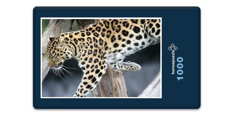 17563 Natur - Flinke Katze Puzzle
