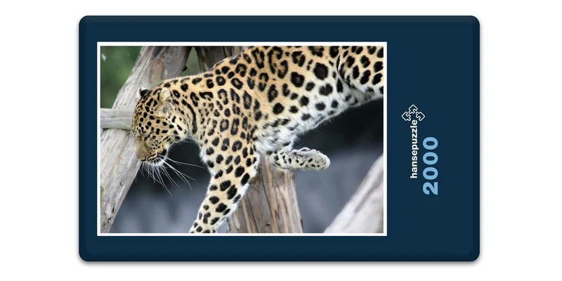 17563 Natur - Flinke Katze Puzzle