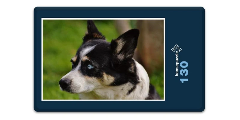 17564 Tierwelt - Huskie Puzzle