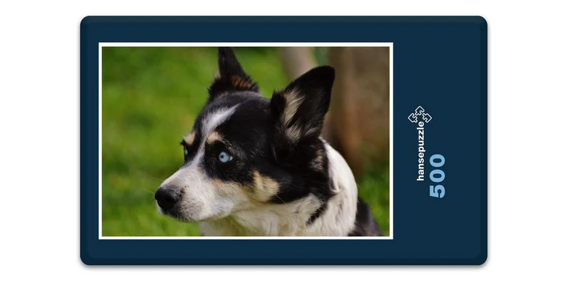 17564 Tierwelt - Huskie Puzzle