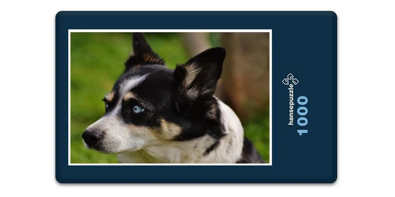 17564 Tierwelt - Huskie Puzzle