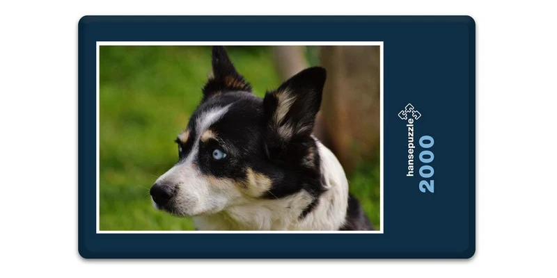 17564 Tierwelt - Huskie Puzzle