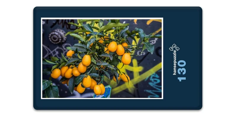 17524 Ernährung - Orangen Puzzle