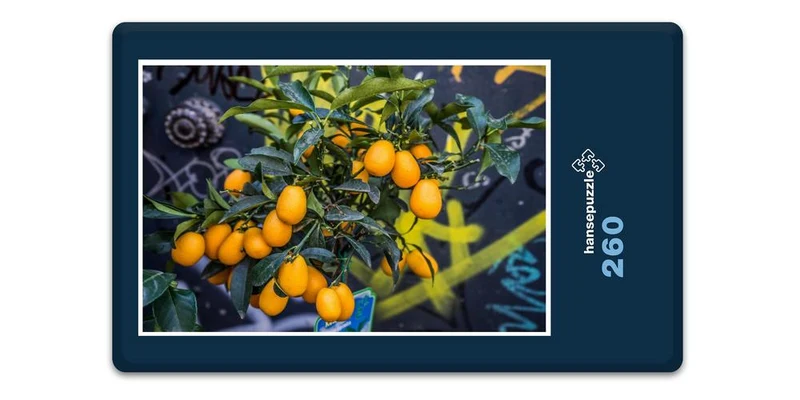 17524 Ernährung - Orangen Puzzle