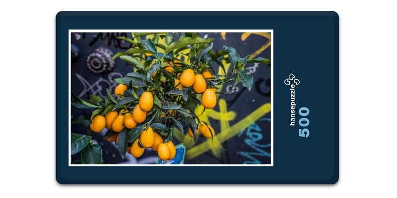 17524 Ernährung - Orangen Puzzle