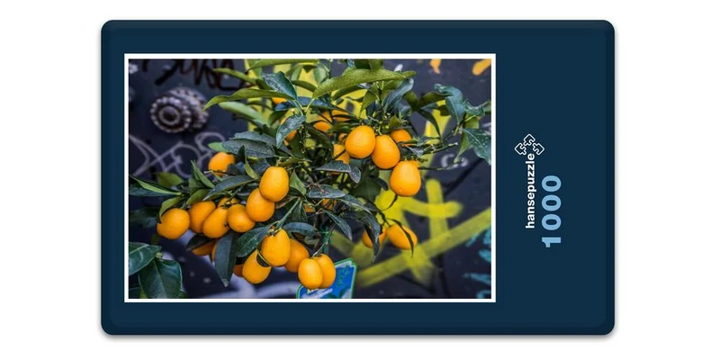 17524 Ernährung - Orangen Puzzle