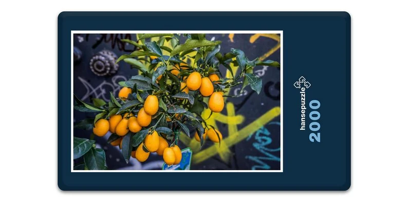 17524 Ernährung - Orangen Puzzle