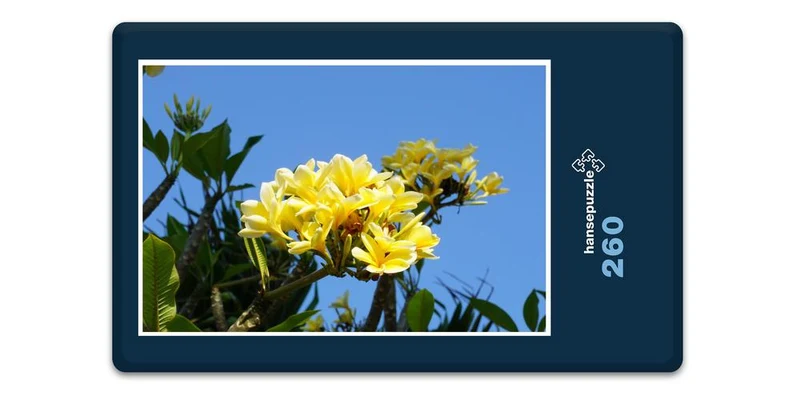 17596 Natur - Blume Puzzle