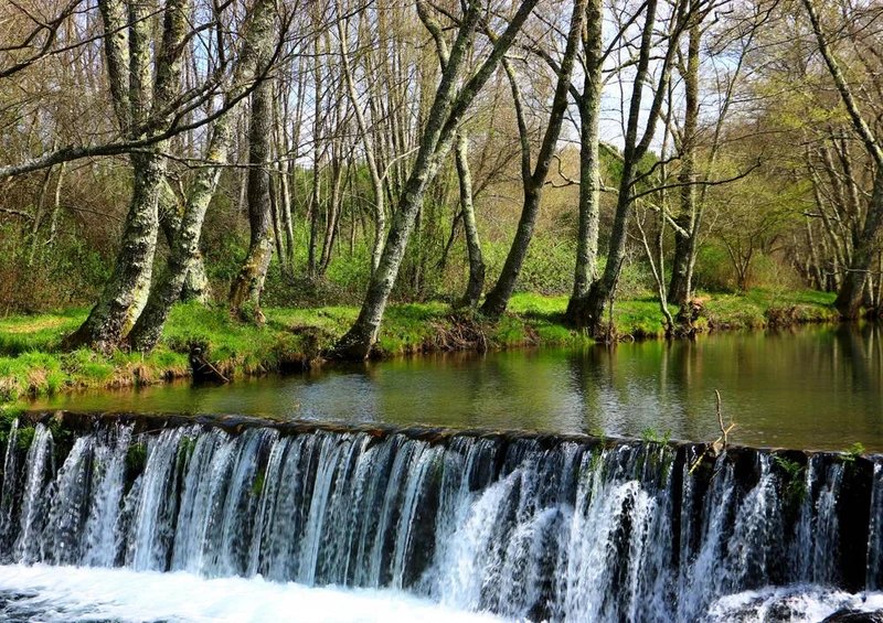 17602 Natur - Fluss in Portugal Puzzle
