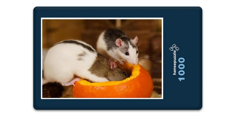 17565 Tierwelt - Haus-Ratten Puzzle