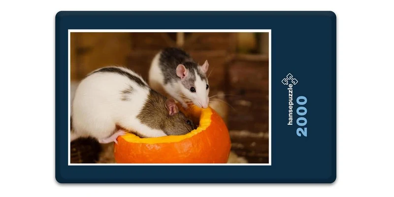 17565 Tierwelt - Haus-Ratten Puzzle