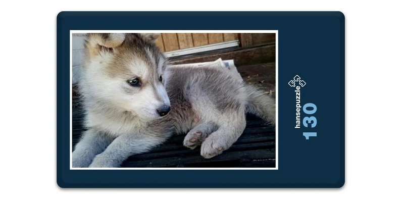 17566 Tierwelt - Huskie Puzzle