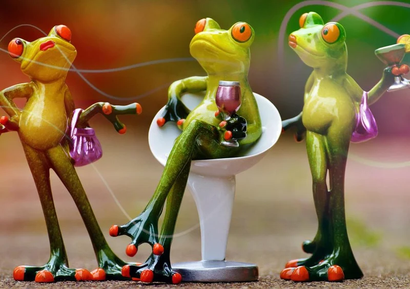 17568 Tierwelt - Frosch Puzzle