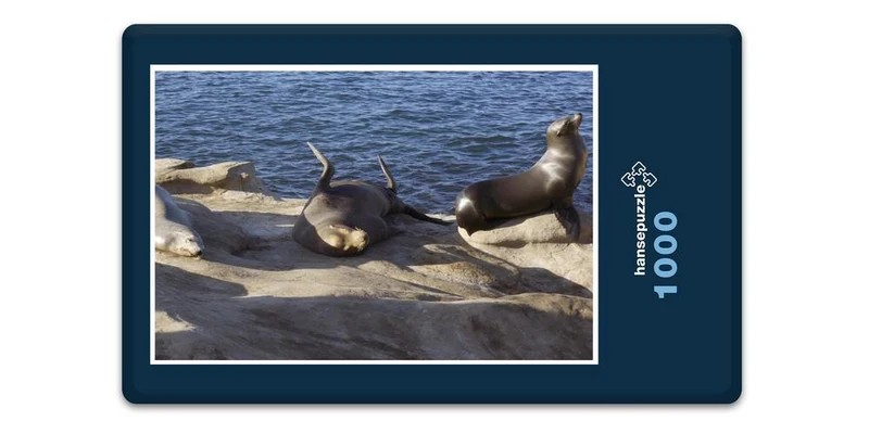 17540 Tierwelt - See-Löwe Puzzle