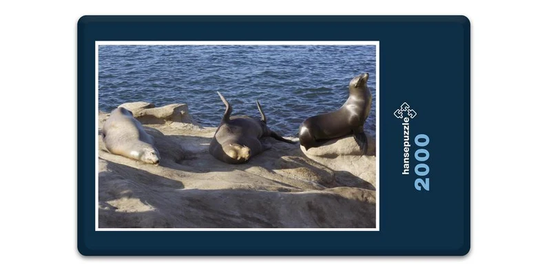 17540 Tierwelt - See-Löwe Puzzle