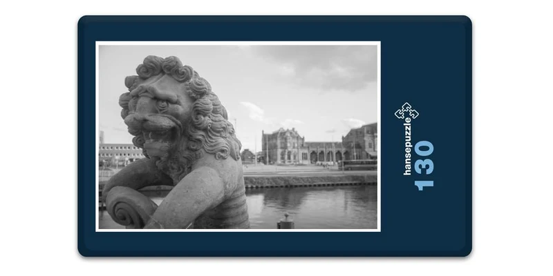 17542 Orte - Löwe Puzzle
