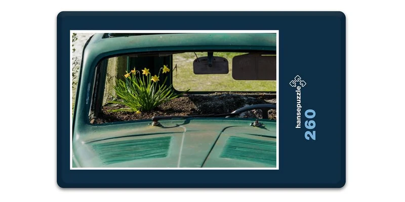 17624 Natur - Grüne Welle Puzzle