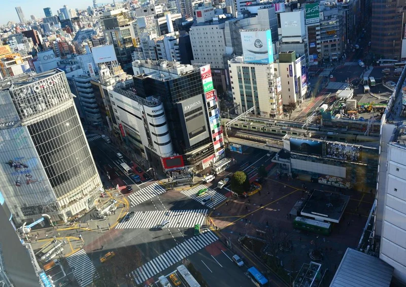 17689 Fortbewegung - Tokio Puzzle