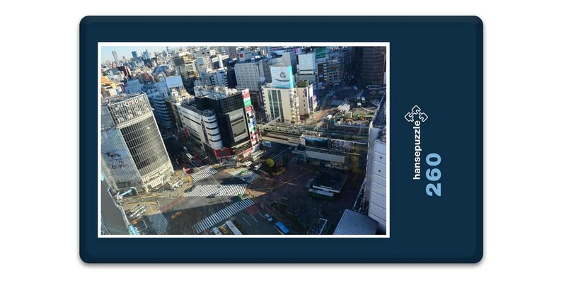 17689 Fortbewegung - Tokio Puzzle
