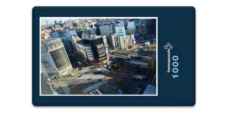 17689 Fortbewegung - Tokio Puzzle