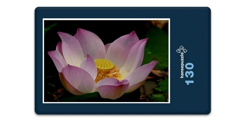 19355 Natur - lotusblume Puzzle