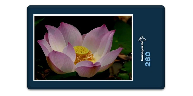 19355 Natur - lotusblume Puzzle